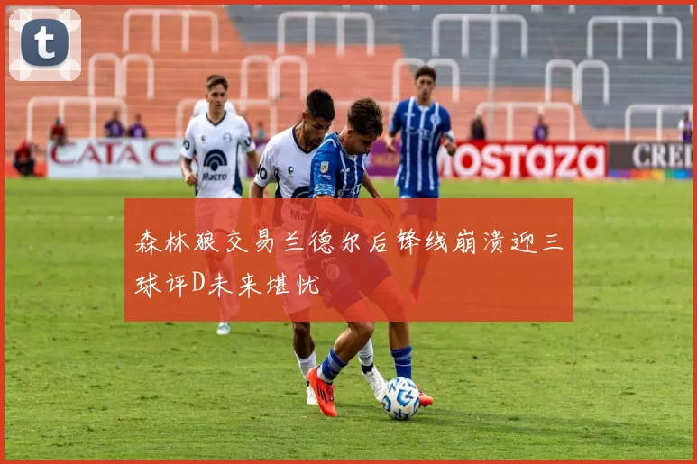 森林狼交易兰德尔后锋线崩溃迎三球评D未来堪忧