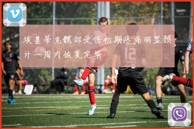 埃基蒂克髋部受伤初期疼痛明显预计一周内恢复完毕